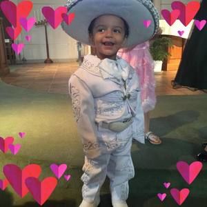 Meet your Posher, Hermila